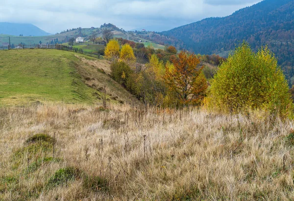 Molnigt Och Dimmigt Höstängsscen Fridfull Pittoresk Resa Säsong Natur Och — Stockfoto