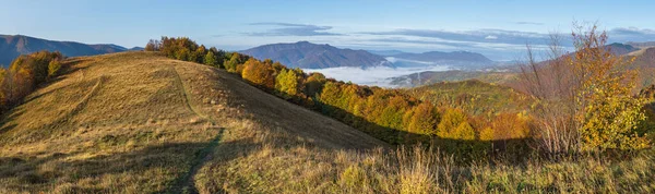 Nebelige Herbstlandschaft Frühen Morgen Friedliche Malerische Reisen Saisonale Natur Und — Stockfoto
