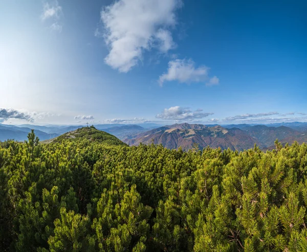 Otoño Mañana Cárpatos Montañas Calma Pintoresca Escena Ucrania — Foto de Stock