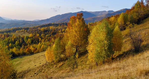 Herbstmorgen Karpaten Ruhigen Malerischen Szene Ukraine Friedliches Reisen Saisonale Natur — Stockfoto