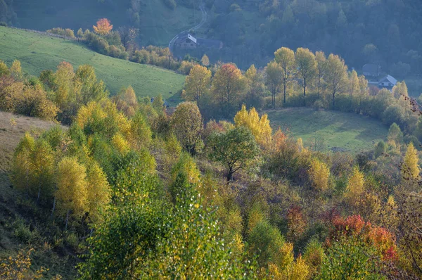 Podzimní Ráno Karpatské Hory Klidné Malebné Scény Ukrajina Klidné Cestování — Stock fotografie