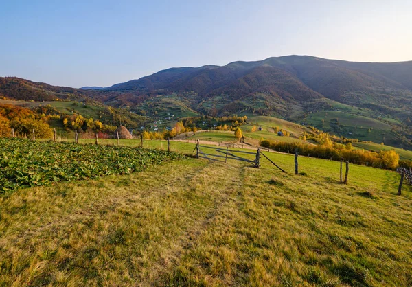 Autumn Morning Carpathian Mountains Calm Picturesque Scene Ukraine Peaceful Traveling — Stock Photo, Image