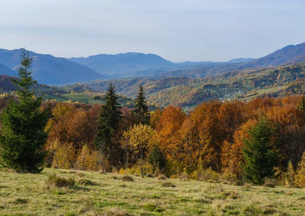 Höstmorgon Karpaterna Lugna Pittoreska Scen Ukraina Fridfullt Resande Säsongsbetonad Natur — Stockfoto