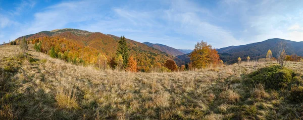 Herbstmorgen Karpaten Ruhigen Malerischen Szene Ukraine Friedliches Reisen Saisonale Natur — Stockfoto