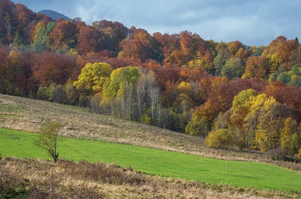 Nuvoloso Mattina Autunno Scena Montagna Tranquillo Pittoresco Viaggio Stagionale Natura — Foto Stock