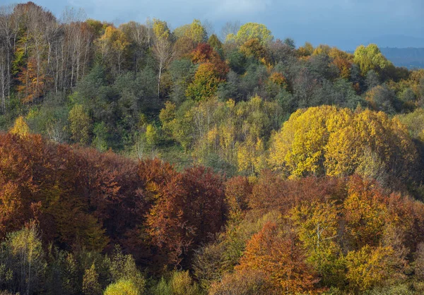 Nuvoloso Mattina Autunno Scena Montagna Tranquillo Pittoresco Viaggio Stagionale Natura — Foto Stock