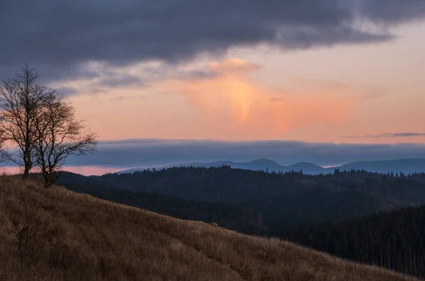 Pintoresca Mañana Antes Del Amanecer Sobre Campo Montaña Finales Otoño — Foto de Stock