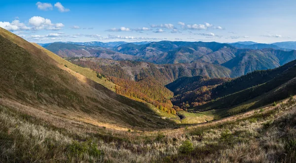 Podzimní Ráno Karpatské Hory Klidné Malebné Scény Ukrajina — Stock fotografie