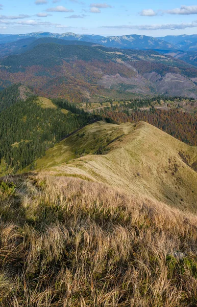 Mattina Autunnale Montagne Carpazie Calma Scena Pittoresca Ucraina — Foto Stock