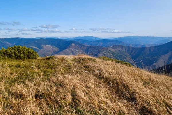 Herbstmorgen Karpaten Ruhigen Malerischen Szene Ukraine — Stockfoto