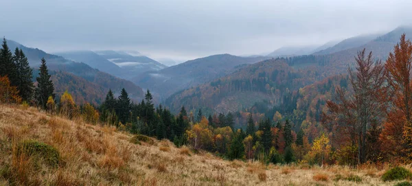 Bewölkt Und Neblig Frühmorgendliche Herbstbergszene Friedliche Malerische Reisen Saisonale Natur — Stockfoto