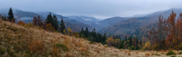Bewölkt Und Neblig Frühmorgendliche Herbstbergszene Friedliche Malerische Reisen Saisonale Natur — Stockfoto