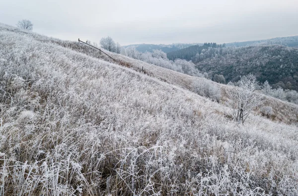 Winter Komt Eraan Bewolkte Mistige Ochtend Zeer Laat Herfst Bergen — Stockfoto