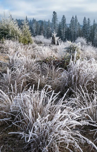 Inverno Sta Arrivando Ultimi Giorni Autunno Mattina Campagna Montagna Tranquilla — Foto Stock