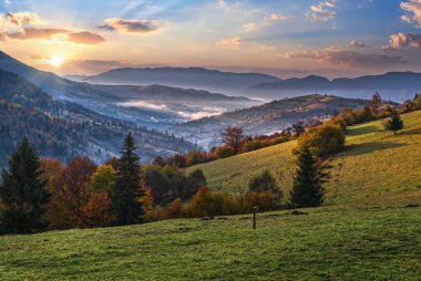 Sisli sabahın erken saatleri sonbahar dağları sahnesi. Huzurlu bir seyahat, mevsimlik, doğa ve kırsal güzellik konsepti. Karpat Dağları, Ukrayna.