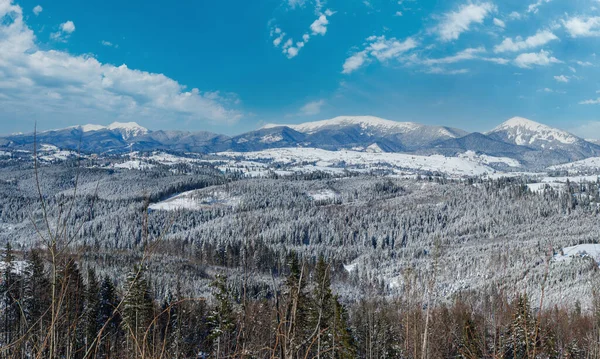 冬季偏远高山村郊 从山坡上眺望乡村小山 小树林和农田 — 图库照片