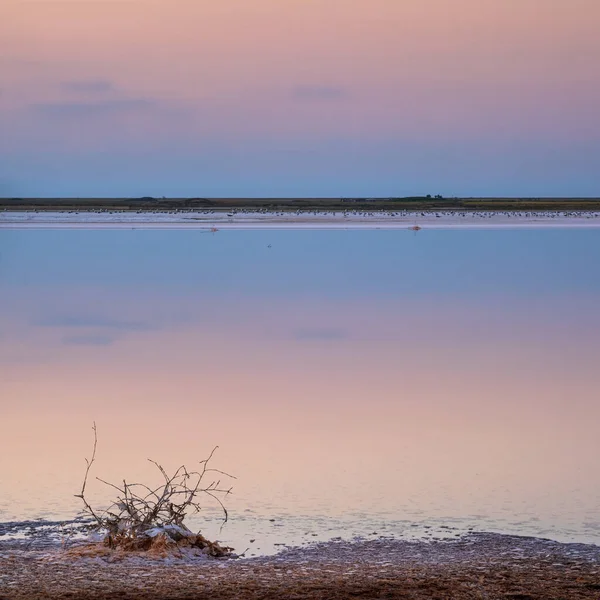 Zachód Słońca Różowym Genichesku Wyjątkowo Słone Jezioro Barwione Mikroalgami Osadzaniem — Zdjęcie stockowe