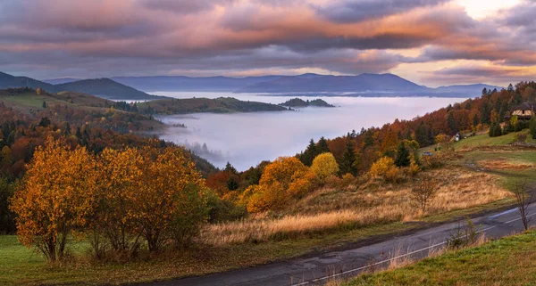 Туманная Сцена Осенних Гор Ранним Утром Красивый Пейзаж Пейзаж Природа — стоковое фото