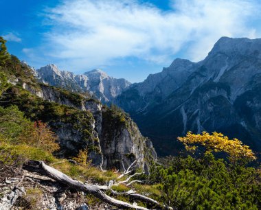 Güneşli, huzurlu, rengarenk sonbahar alp manzarası. Yukarı Avusturya 'daki Almsee Gölü yakınlarındaki yürüyüş yolundan huzurlu kayalık dağ manzarası.