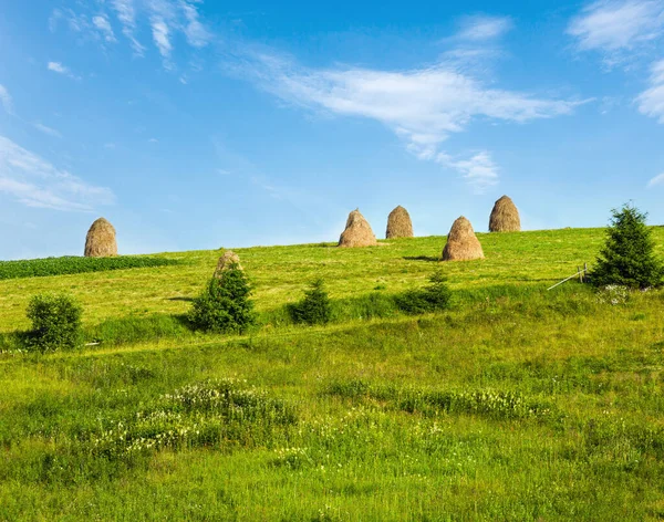 Summer Mountain Village Outskirts Haystacks Field Cárpatos Ucrânia — Fotografia de Stock