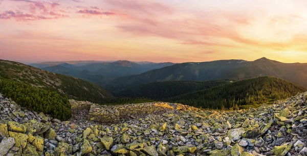 Letni Wieczór Karpaty Góry Kamienne Stoku Panoramiczny Widok Ostatnim Słońcu — Zdjęcie stockowe