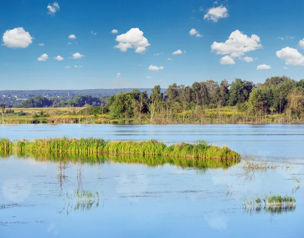 Summer Lake Landscape Plants Reflections Water Surface Shklo Settlement Lviv — 스톡 사진