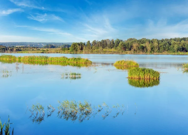 Summer Lake Landscape Plants Reflections Water Surface Shklo Settlement Lviv — Stock Fotó