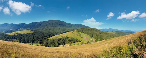 Mountain Village Summer Country Landscape Fir Forest Slope Carpathians Ukraine — Stockfoto