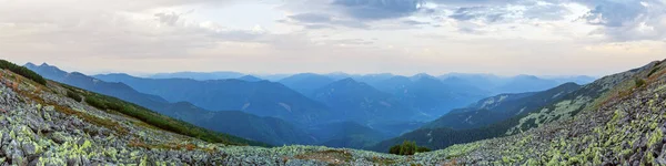 Ihrovets Mount Gorgan Sklon Panoramatu Výhled Letní Svítání Karpaty Ukrajina — Stock fotografie