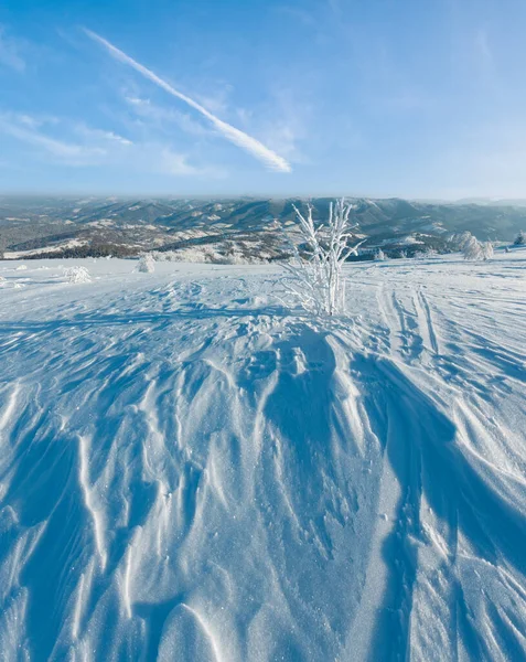 朝冬穏やかで美しいつや消し木とふきだまり斜面 カルパティア山脈 ウクライナ の山の風景 かなりの深さのフィールドの鋭さと合成画像 — ストック写真