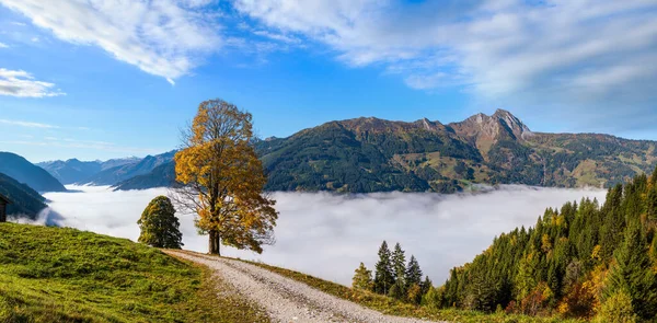 Ensoleillé Idyllique Scène Alpine Automne Matin Paisible Brumeux Alpes Montagne — Photo