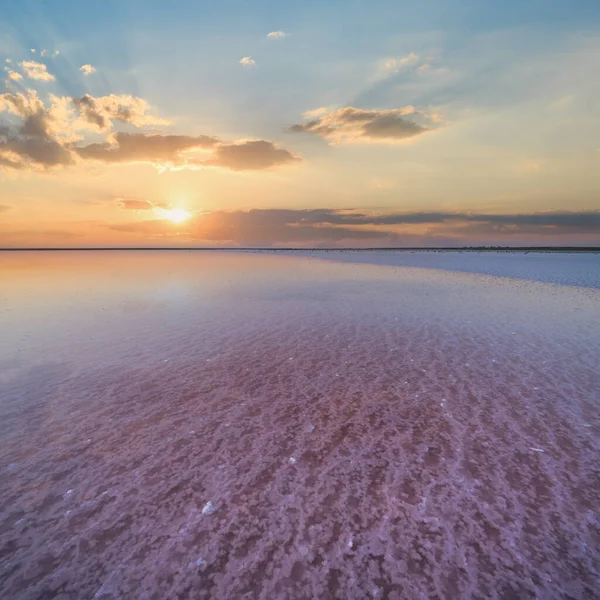 Pôr Sol Lago Extremamente Salgado Rosa Genichesk Colorido Por Microalgas — Fotografia de Stock