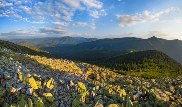 夏のカルパチア山脈の夕景 ウクライナのストーニーゴルガンマスフ — ストック写真