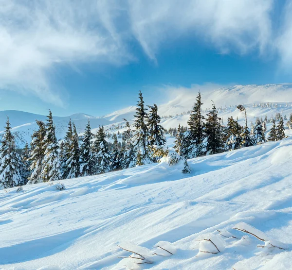 Mattina Inverno Paesaggio Montano Con Nuvole Abeti Sul Pendio Carpazi — Foto Stock