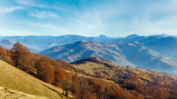 Autunno Panorama Montano Con Alberi Colorati Sul Pendio Luce Foschia — Foto Stock