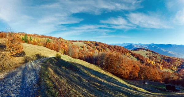 Strada Rurale Ombre Alberi Alberi Autunnali Sul Pendio Della Montagna — Foto Stock