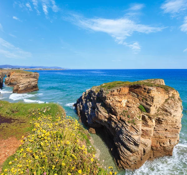 Kvetoucí Cantabric Pobřeží Letní Krajina Katedrály Beach Lugo Galicie Španělsko — Stock fotografie