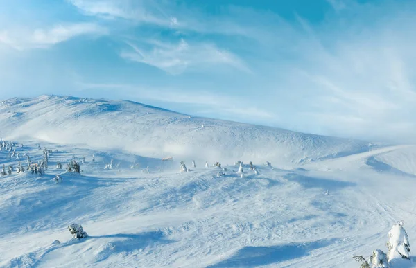 Carrera Esquí Abetos Nevados Colina Invierno Por Mañana Tiempo Nublado —  Fotos de Stock