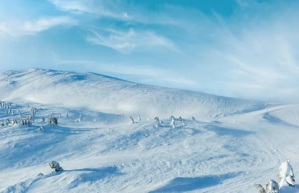 在多云的天气冬天早上山滑雪和雪杉树 — 图库照片