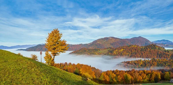 Morgens Nebelschwaden Herbstlicher Berglandschaft Ukraine Karpaten Transkarpatien Friedliche Malerische Reisen — Stockfoto