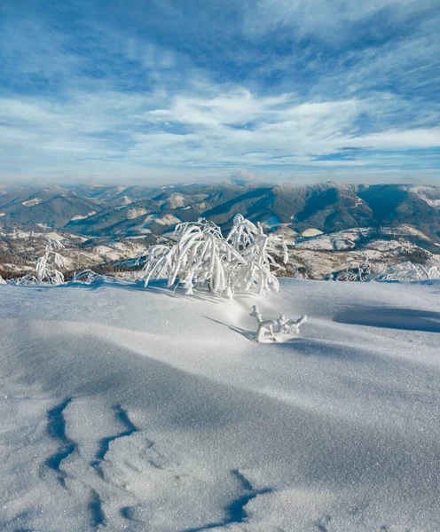 Morning Winter Calm Mountain Landscape Beautiful Frosting Trees Snowdrifts Slope — Stock Photo, Image