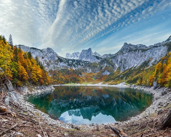 上奥地利Hinterest Gosausee湖附近森林砍伐后的树桩 五彩缤纷的秋天高山湖景 清澈清澈的湖水和倒影 达什坦峰和远远的冰川 — 图库照片