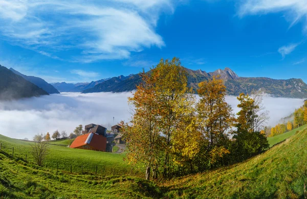 Sunny Idyllic Autumn Alpine Scene Peaceful Misty Morning Alps Mountain — Stock Photo, Image