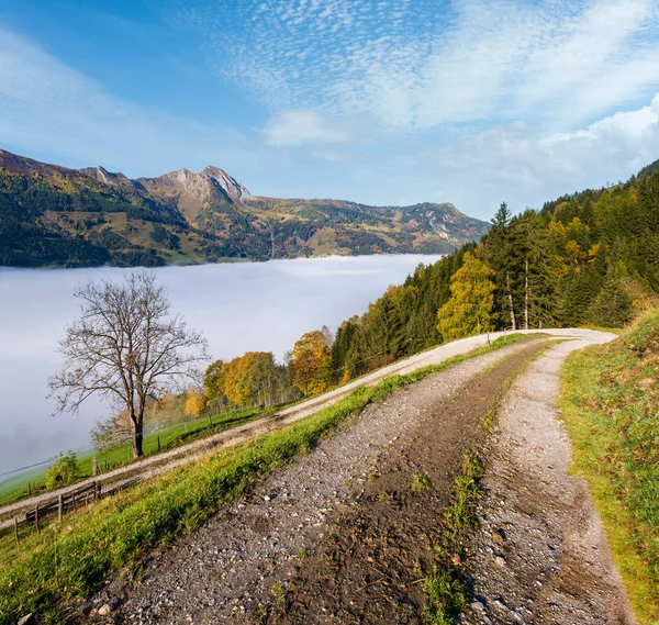 Slunečná Idylická Podzimní Alpská Scéna Klidné Mlhavé Ráno Alpy Pohled — Stock fotografie