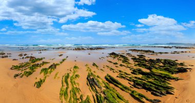 Kaya oluşumları kum plajındaki (Algarve, Costa Vicentina, Portekiz).
