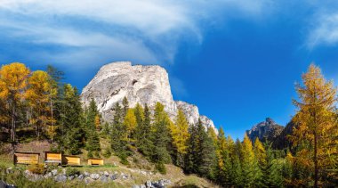Autumn alpine Dolomites mountain scene, Sudtirol, Italy. Peaceful view near Wolkenstein in Groden, Selva di Val Gardena. Picturesque traveling, seasonal, nature and countryside beauty concept scene.
