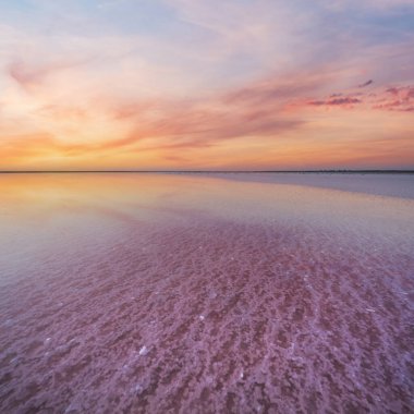 Genichesk Pembesi üzerinde gün batımı son derece tuzlu göl (kristal tuz kalıntılarıyla mikro algler tarafından renklendirilmiş), Ukrayna.