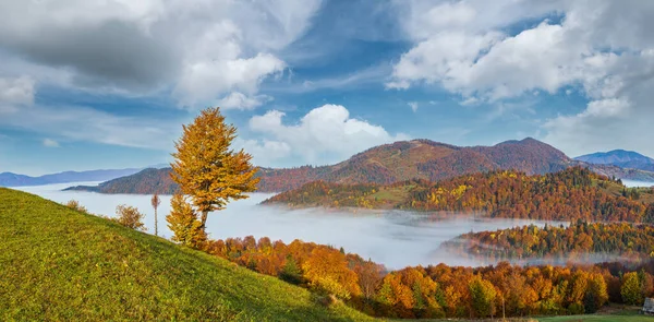 Nuvens Nebulosas Manhã Paisagem Montanhosa Outono Ucrânia Montanhas Cárpatas Transcarpathia — Fotografia de Stock