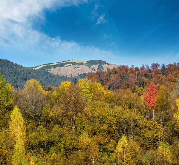 Autumn morning Carpathian Mountains calm picturesque scene, Ukraine. Peaceful traveling, seasonal, nature and countryside beauty concept scene.