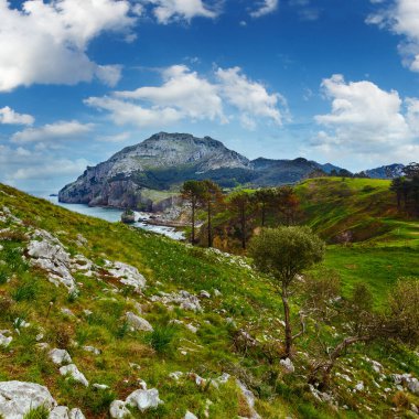 Bahar Deniz Sahil peyzaj kayalık cape ve küçük koy (San Julian Beach, Liendo, Cantabria, İspanya).